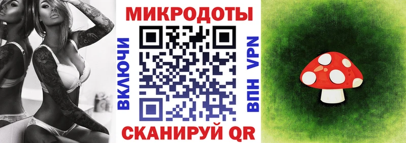 Псилоцибиновые грибы MAGIC MUSHROOMS  наркота  Конаково 