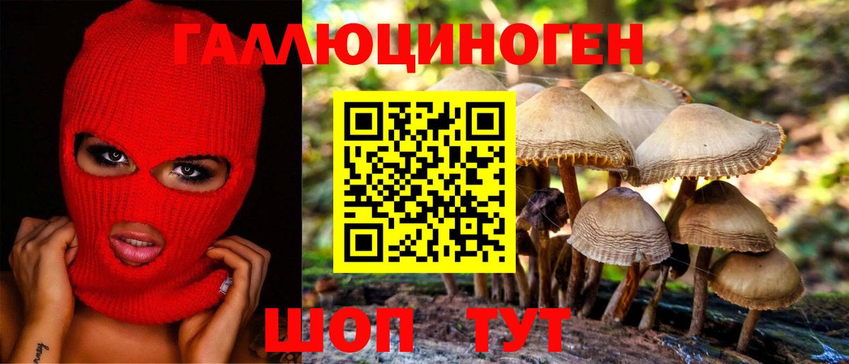 Галлюциногенные грибы Cubensis  Вход с VPN  Конаково  Псилоцибиновые грибы мухоморы 